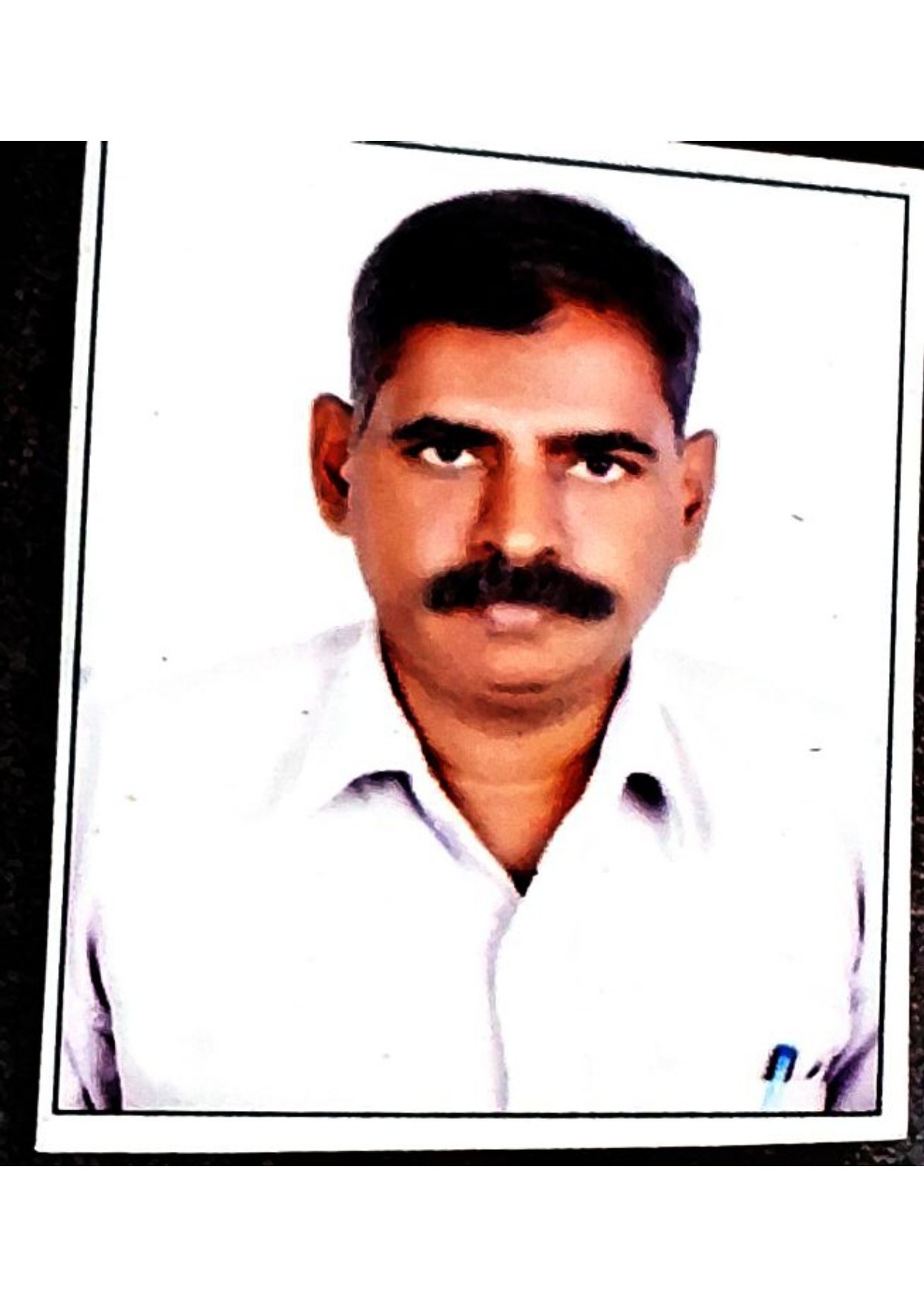 International Member